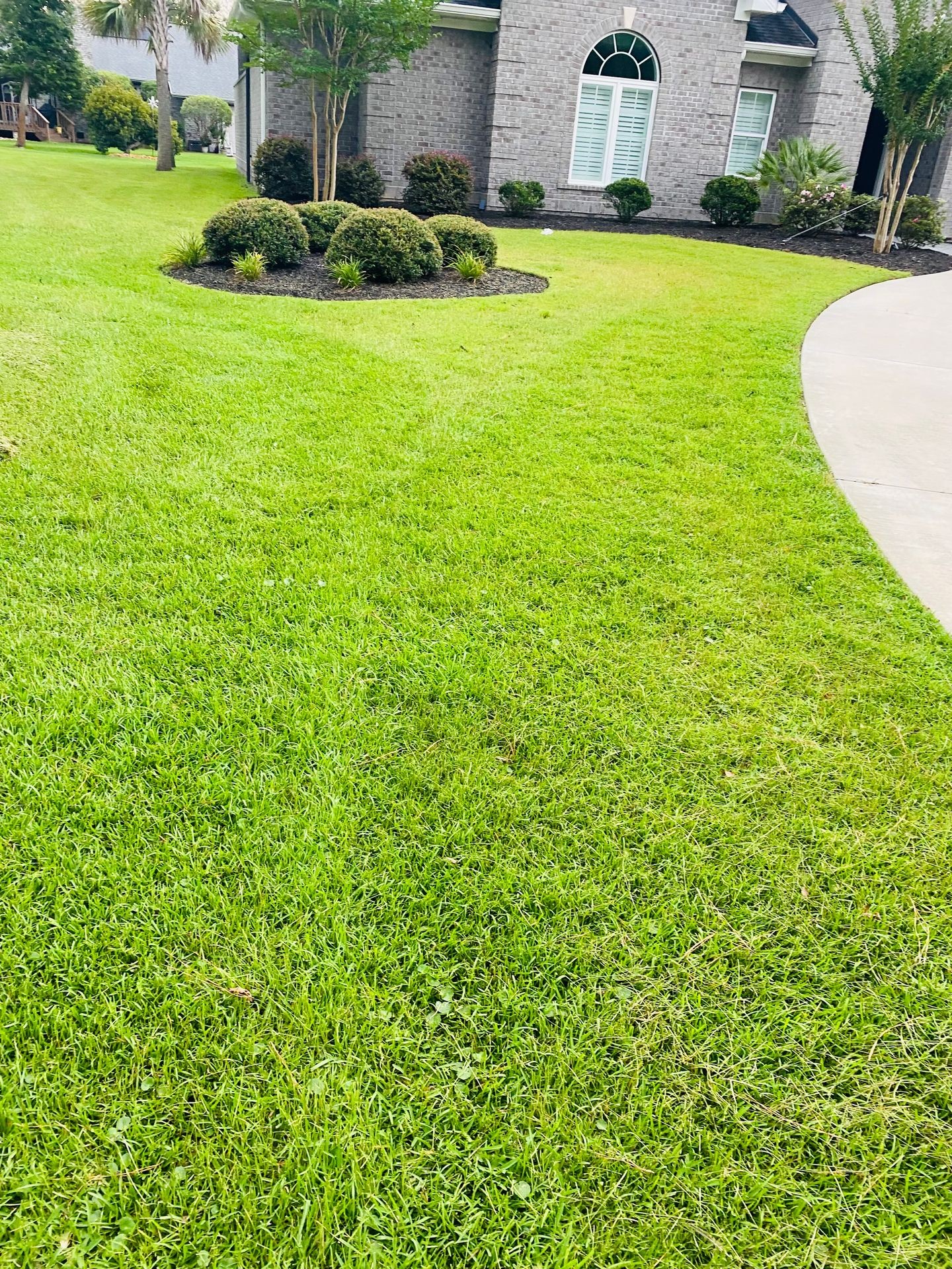 Lawn Mowing and Maintenance